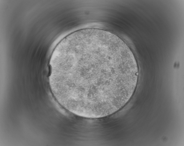 X0000112160816200909041125