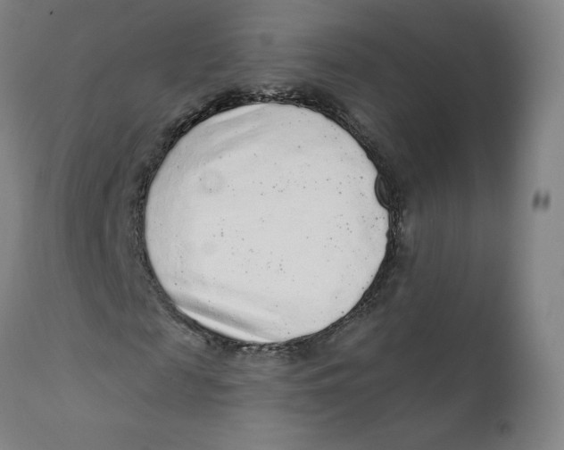 X0000112160817200909041124