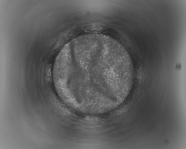 X0000112160818200909041124