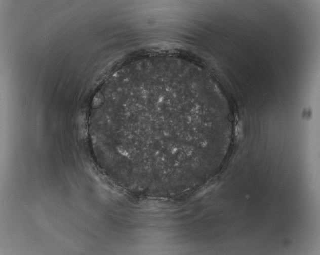 X0000112160819200909041124