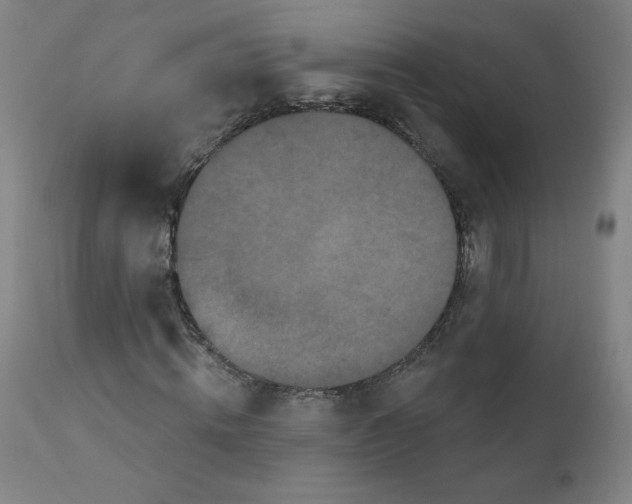 X0000112160820200909041124