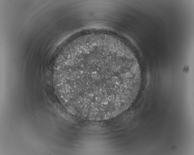 X0000112160823200909041124