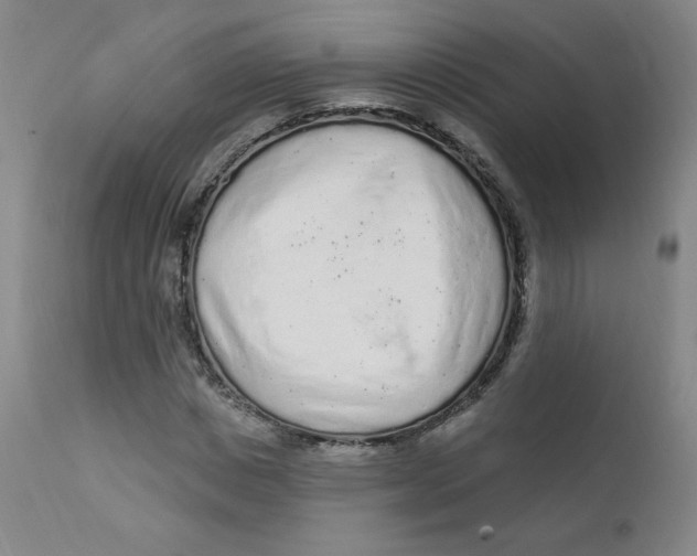 X0000112160825200909041124