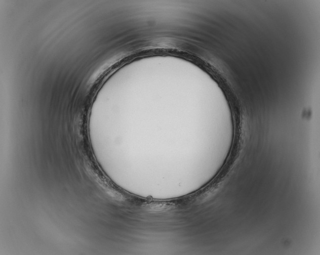 X0000112160826200909041124