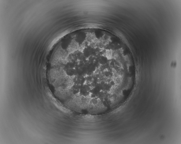 X0000112160827200909041124