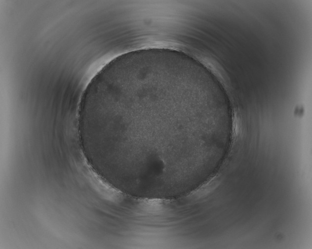 X0000112160828200909041124