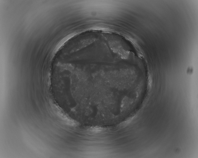 X0000112160829200909041124