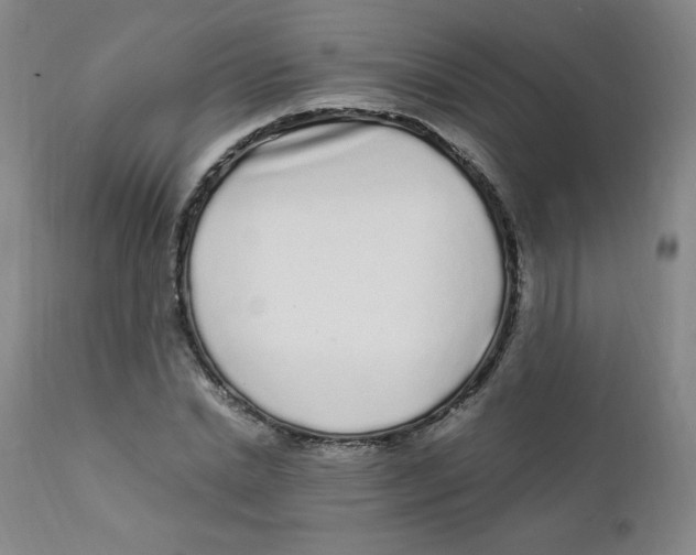X0000112160830200909041124