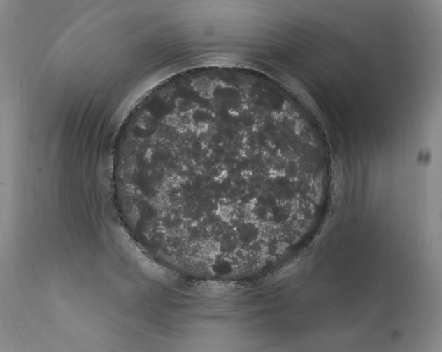 X0000112160831200909041124