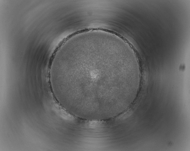 X0000112160832200909041124