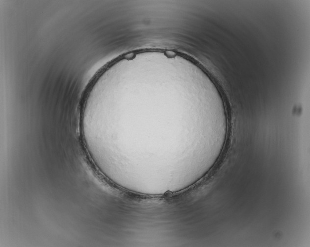 X0000112160838200909041124