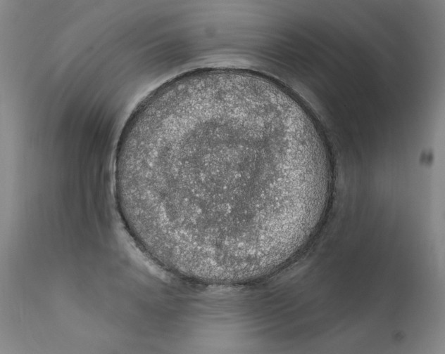 X0000112160840200909041124