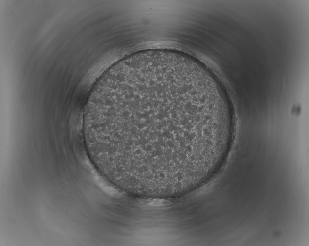 X0000112160841200909041124