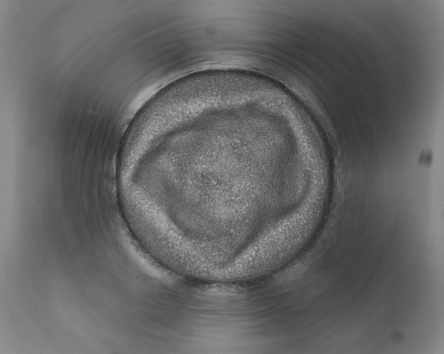 X0000112160842200909041124