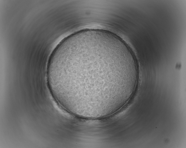 X0000112160845200909041125
