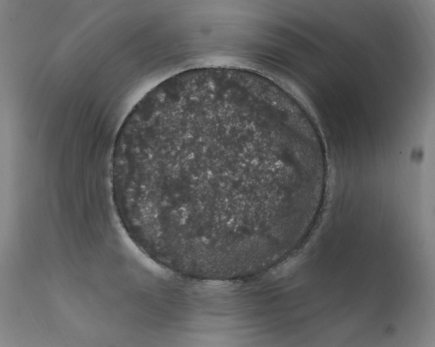 X0000112160847200909041125