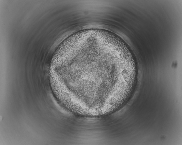 X0000112160849200909041125