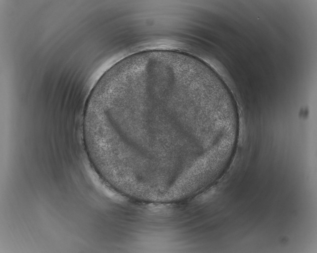 X0000112160850200909041125