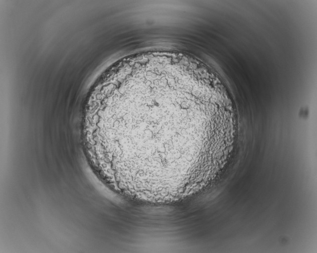 X0000112160851200909041125