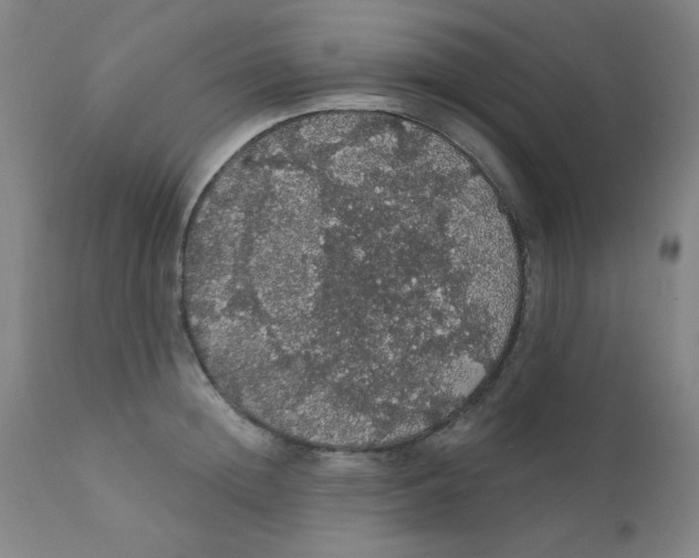 X0000112160852200909041125