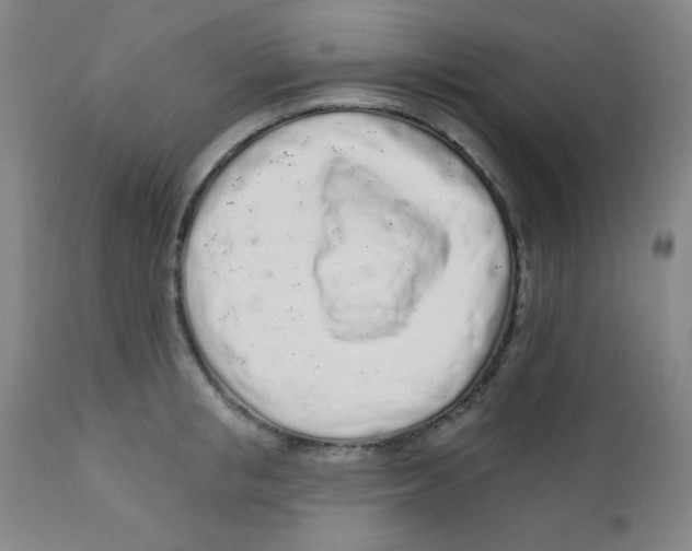 X0000112160853200909041125