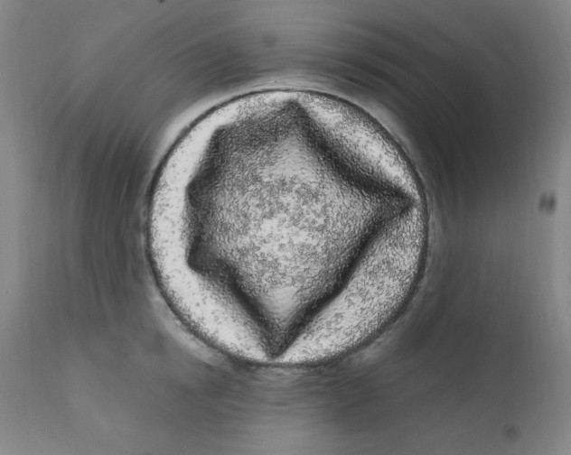 X0000112160854200909041125
