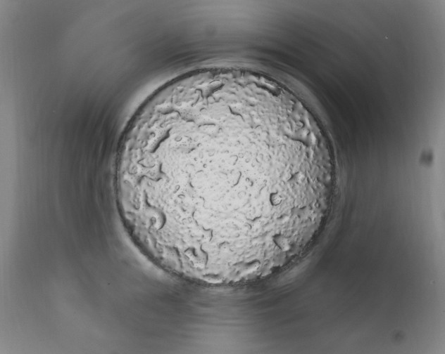 X0000112160855200909041125