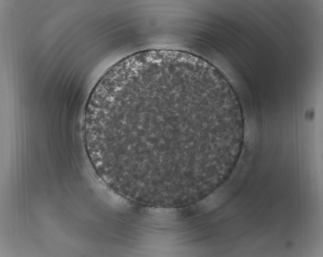 X0000112160856200909041125