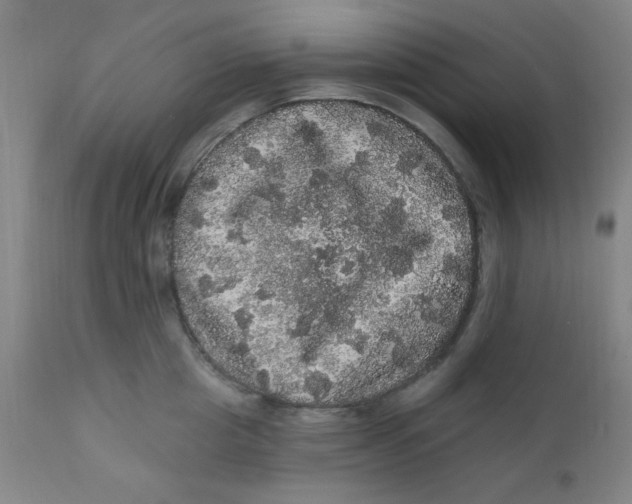 X0000112160857200909041125