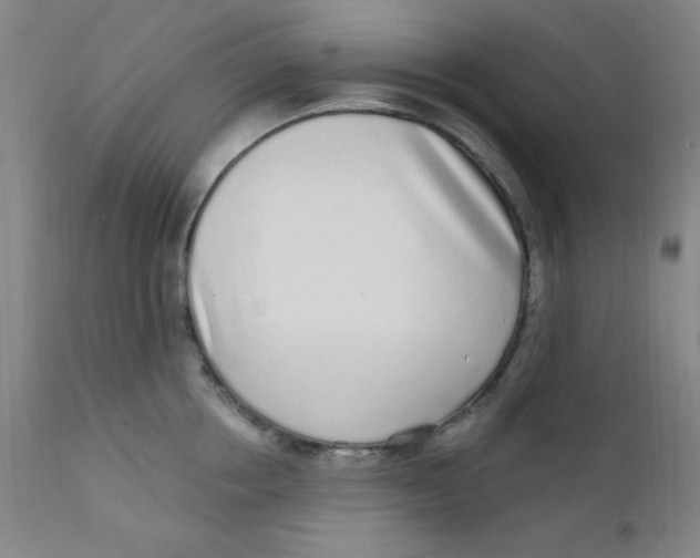 X0000112160858200909041125