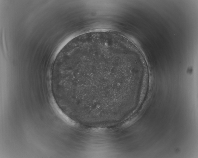 X0000112160859200909041125