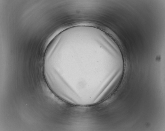 X0000112160860200909041125