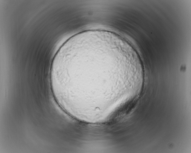 X0000112160863200909041125