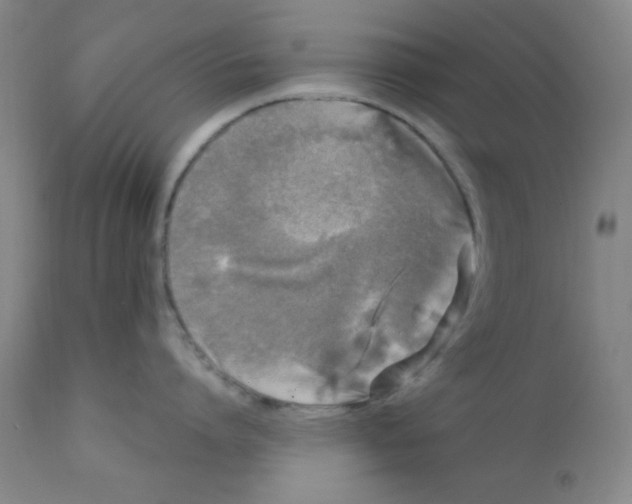 X0000112160864200909041125
