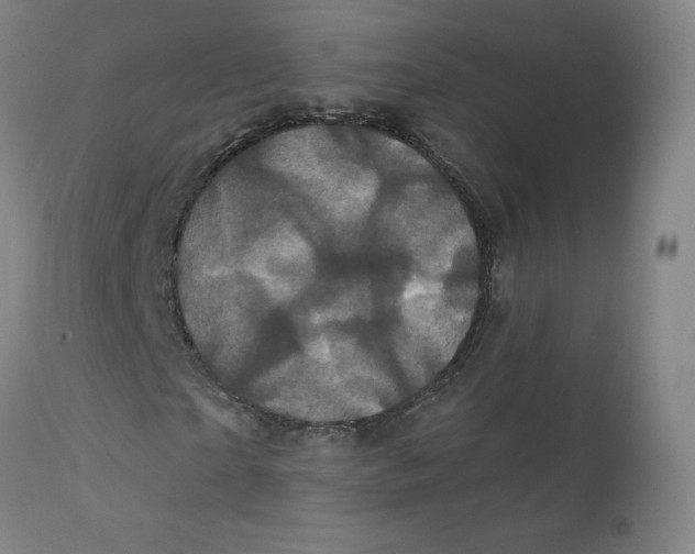 X0000112160865200909041124