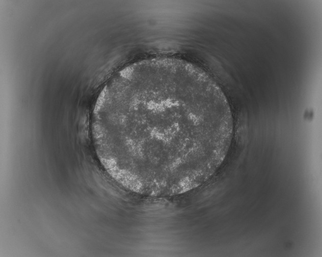 X0000112160866200909041124