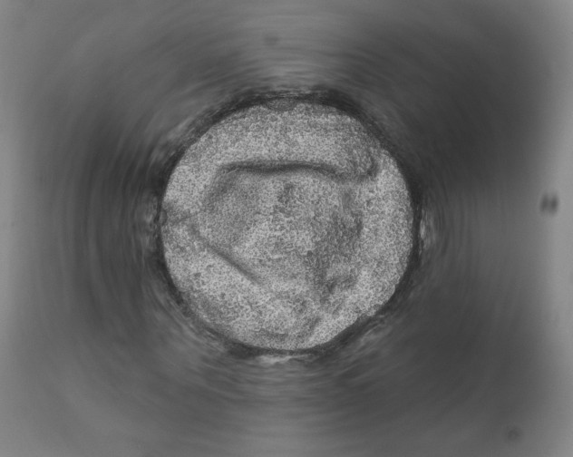 X0000112160867200909041124