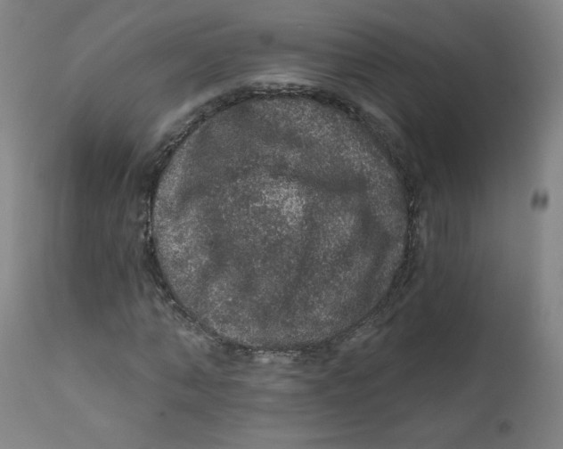 X0000112160870200909041124