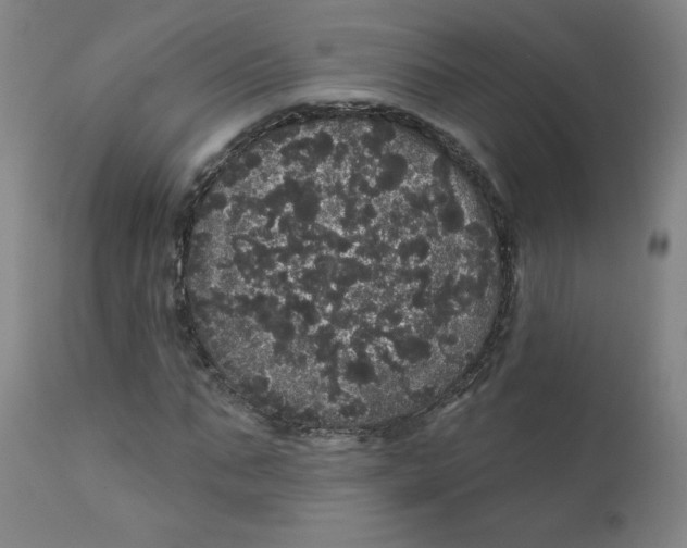 X0000112160871200909041124