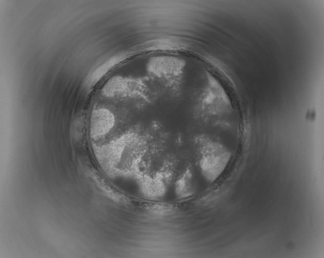 X0000112160874200909041124