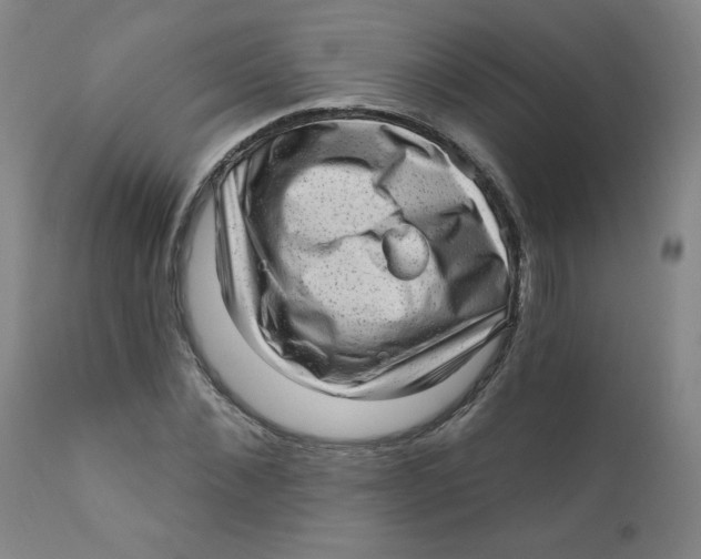 X0000112160876200909041124