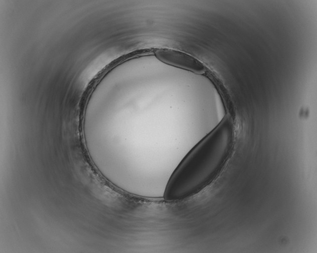 X0000112160877200909041124