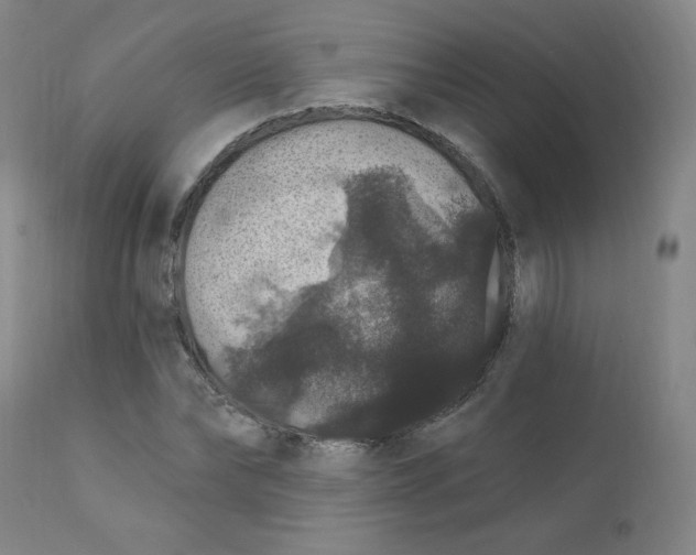 X0000112160878200909041124