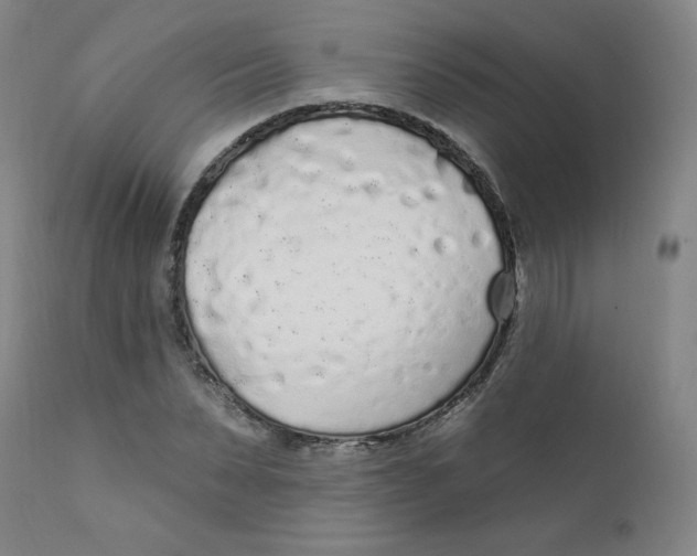 X0000112160879200909041124