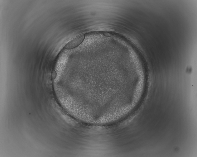 X0000112160881200909041124