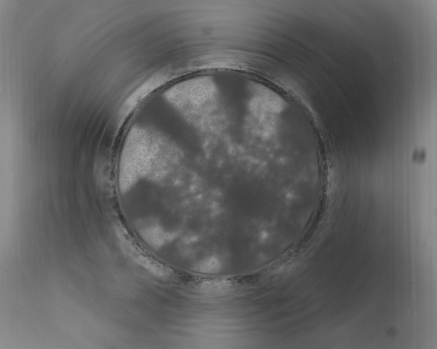 X0000112160882200909041124