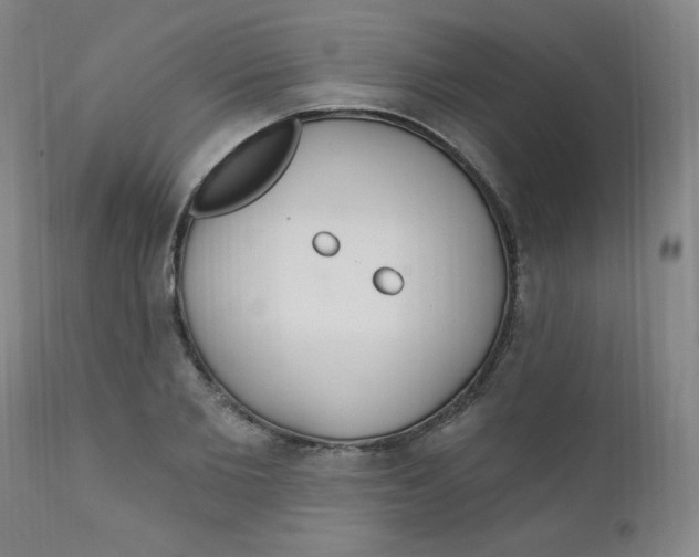 X0000112160885200909041124