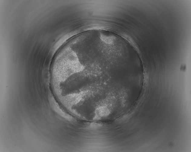 X0000112160890200909041124