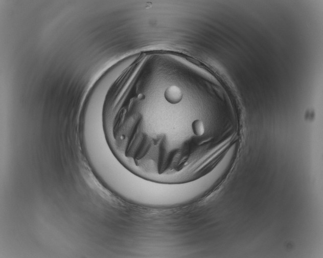 X0000112160892200909041124