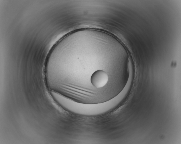 X0000112160893200909041124